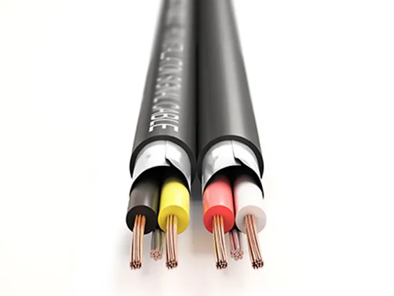 PROCAST cable BSC 2*4,5/20/0,12