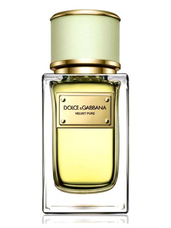 Dolce and Gabbana Velvet Pure