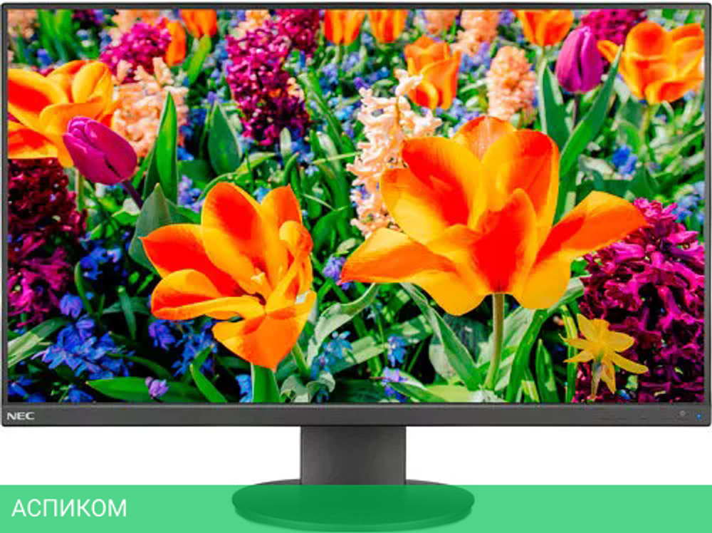 Монитор NEC MultiSync E243F