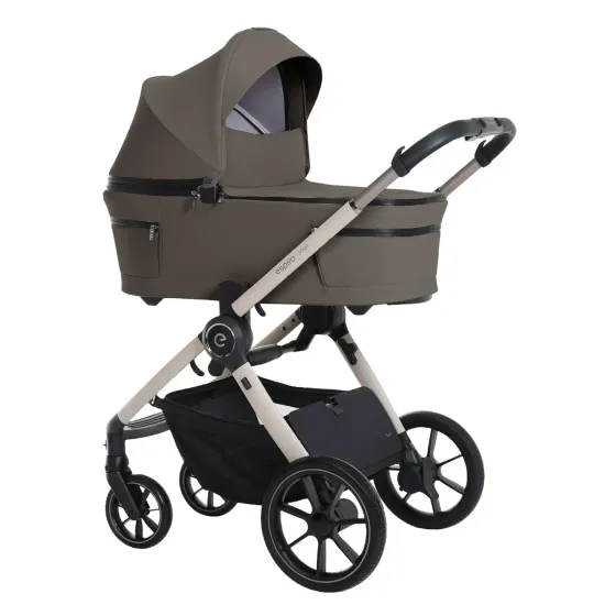 Коляска Espiro Yoga 2 в 1 Meditation Breze Voice of Nature (109)