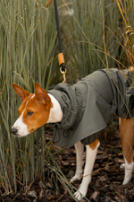 Дождевик "Пони-парасоли"