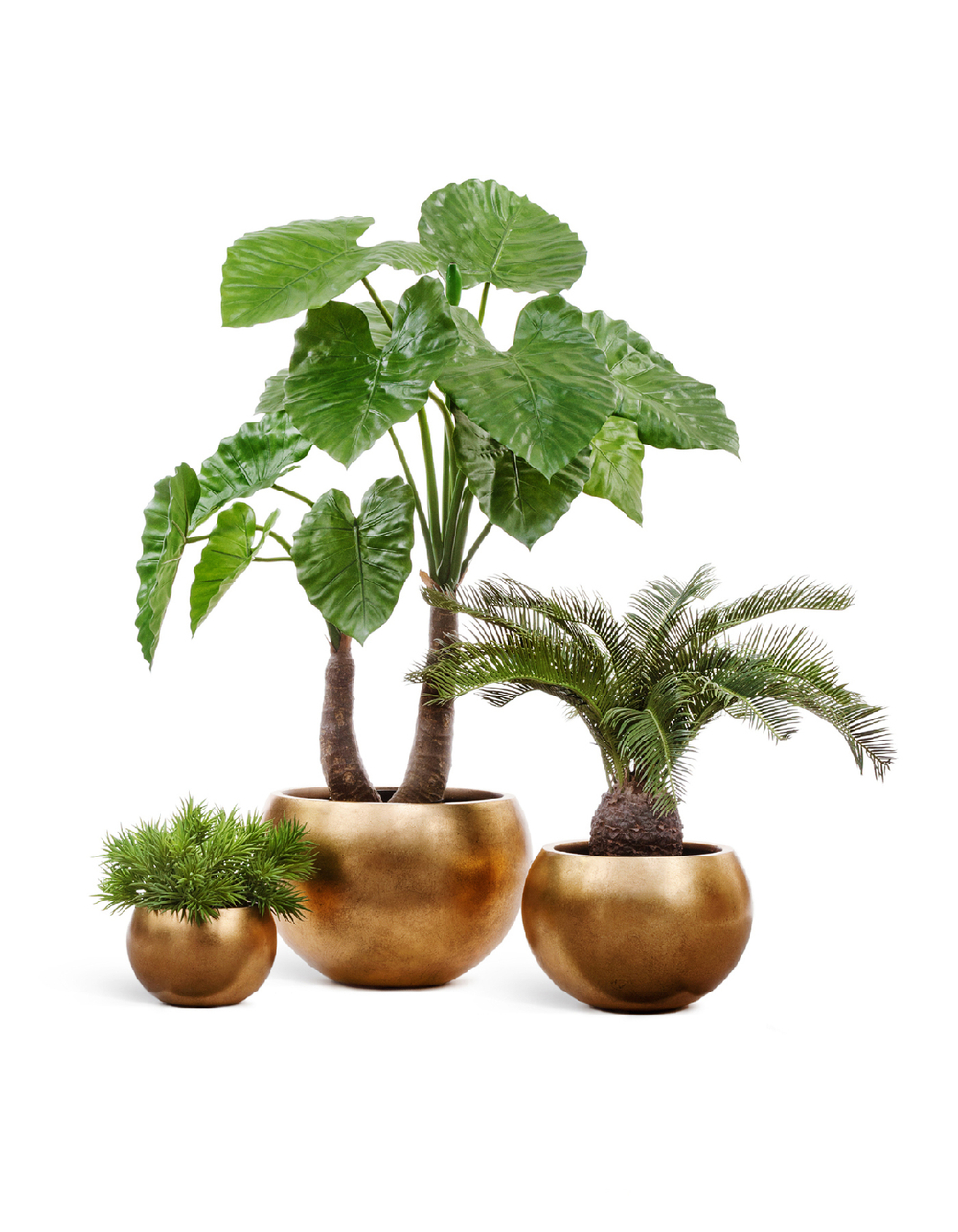 Кашпо TREEZ Effectory Metal Полусфера Сусальное золото д-22 см, в-15 см 41.3318-04-016-GLD-22