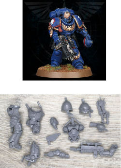 Primaris Lieutenant With Stalker Bolt Rifle