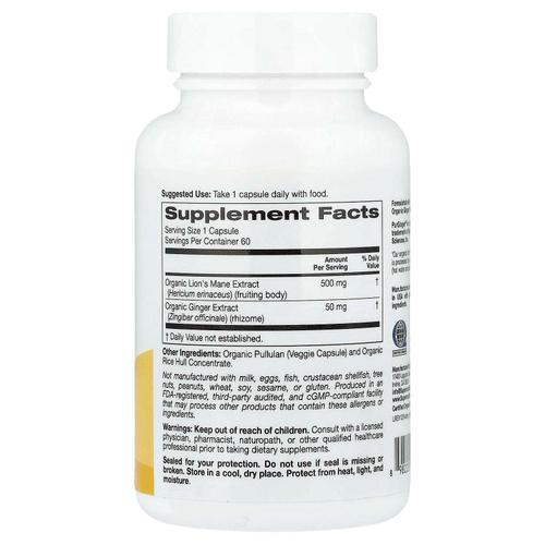 Super Nutrition, органический гриб ежовик гребенчатый с имбирём, 60 вегетарианских капсул
