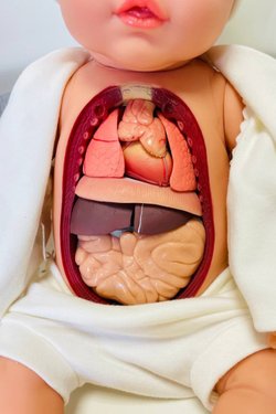 УЦЕНКА Кукла Baby Anathomic Nines 45см (N60409)