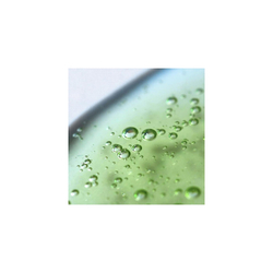 WHAMISA Cactus Bouncy Serum - сыворотка интенсивного лифтинга /   33  ml  / GTIN 8809403815653