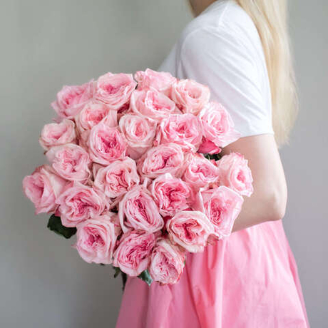 Розы "Pink O`Hara"