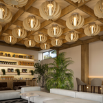 Chandelier  Spoke Circle by Fr?sch