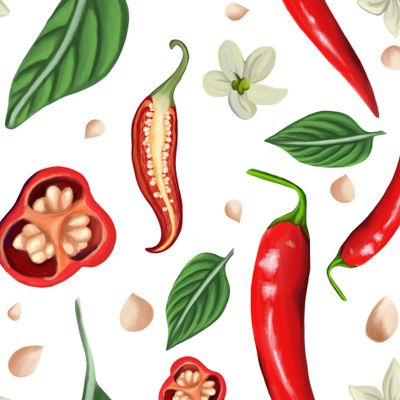 Острый перец. Цветы и листья на белом фоне. Чили перец