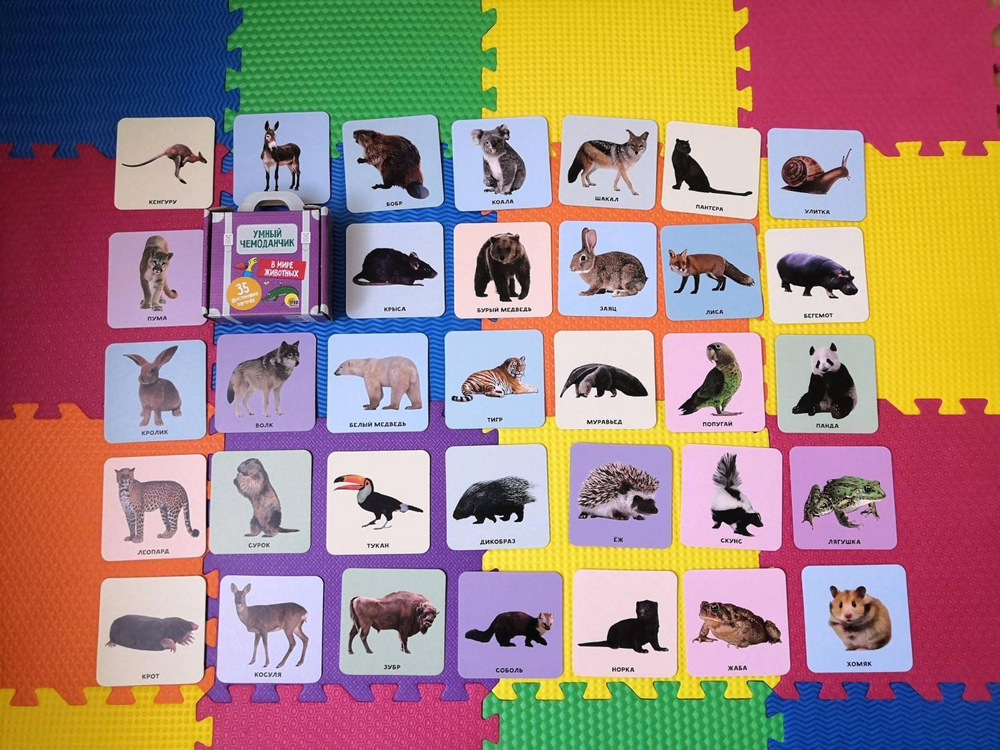 Умный чемоданчик. В мире животных