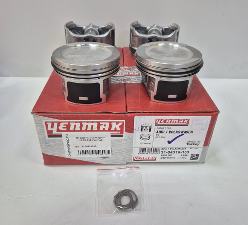 Поршни с кольцами +1.00 BSE, BFQ Yenmak