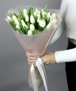 Монобукет из балоснежных , тюльпанов  33 штуки 45 см