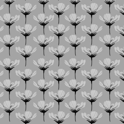 Космея на сером