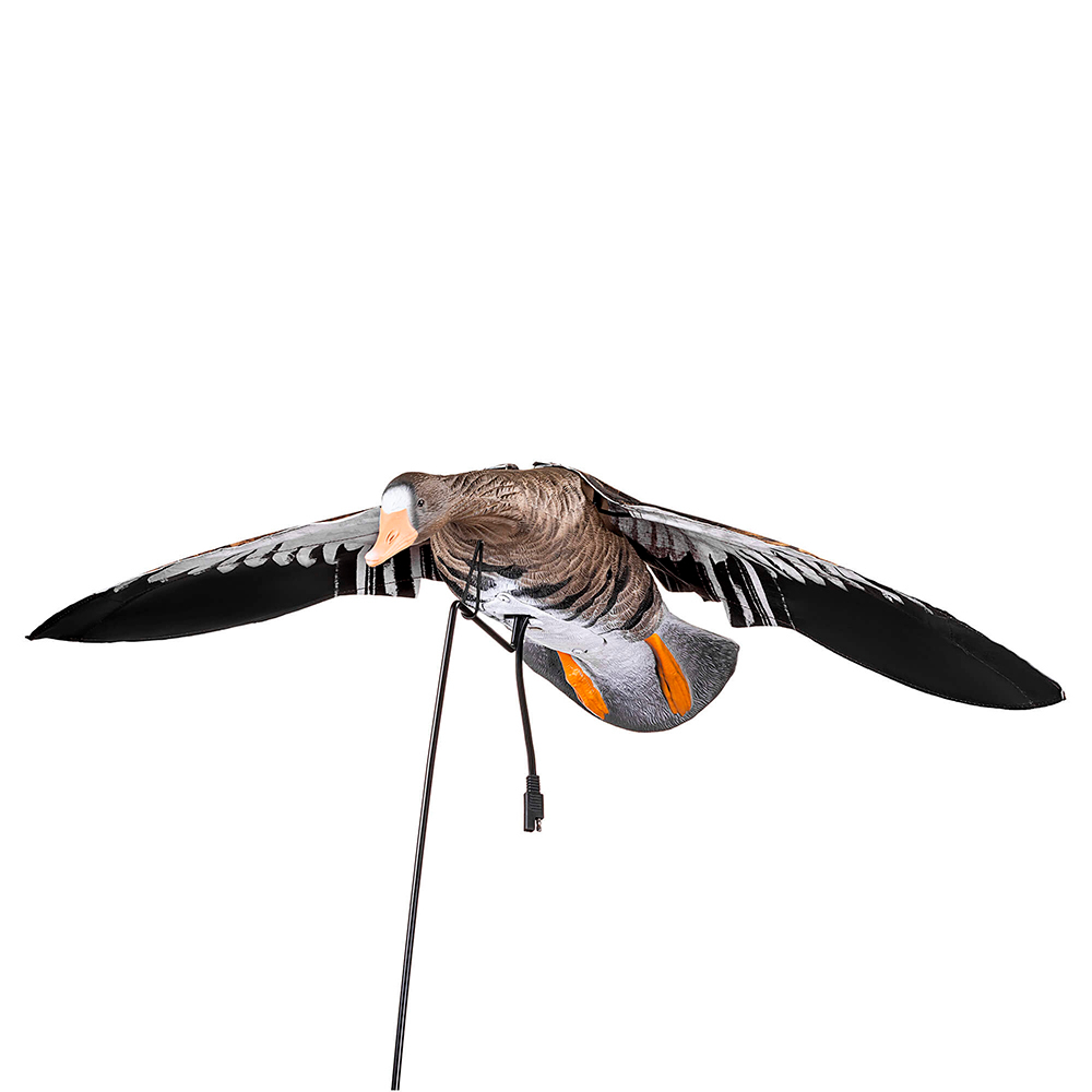 Белолобый гусь махокрыл Duck Mania