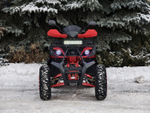 LION 200 LITE красный