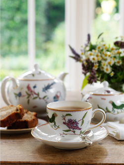Wedgwood - Чашка для завтрака Mythical Creatures с блюдцем 180 мл / артикул   40015246  / GTIN 701587253055