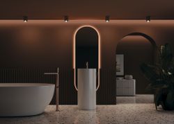 Потолочный светильник Maytoni Alfa C012CL-01B