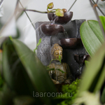 Флорариум с орхидеей и водопадом Будда Фаберже