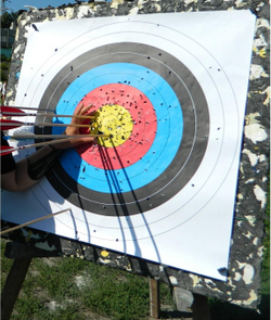 Стрелоулавливатель Prival 50х50х40 см