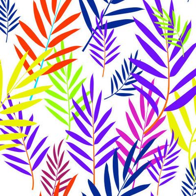 яркий тропик