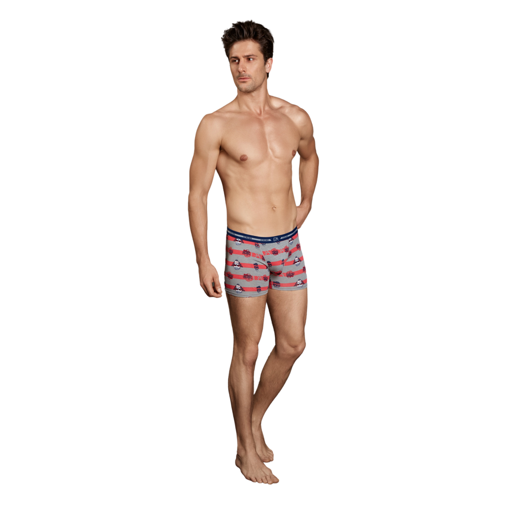 Мужские трусы боксеры серые с принтом Cool Forever Doreanse 1837