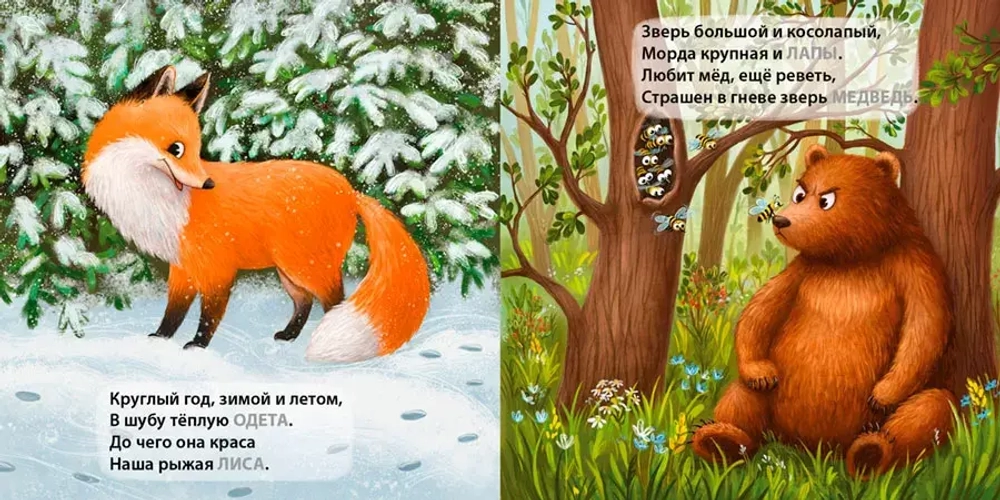 Дикие животные. Загадки-рифмы