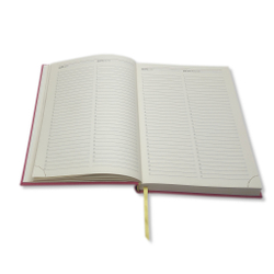 Ежедневник Lediberg DELHI Оранжевый