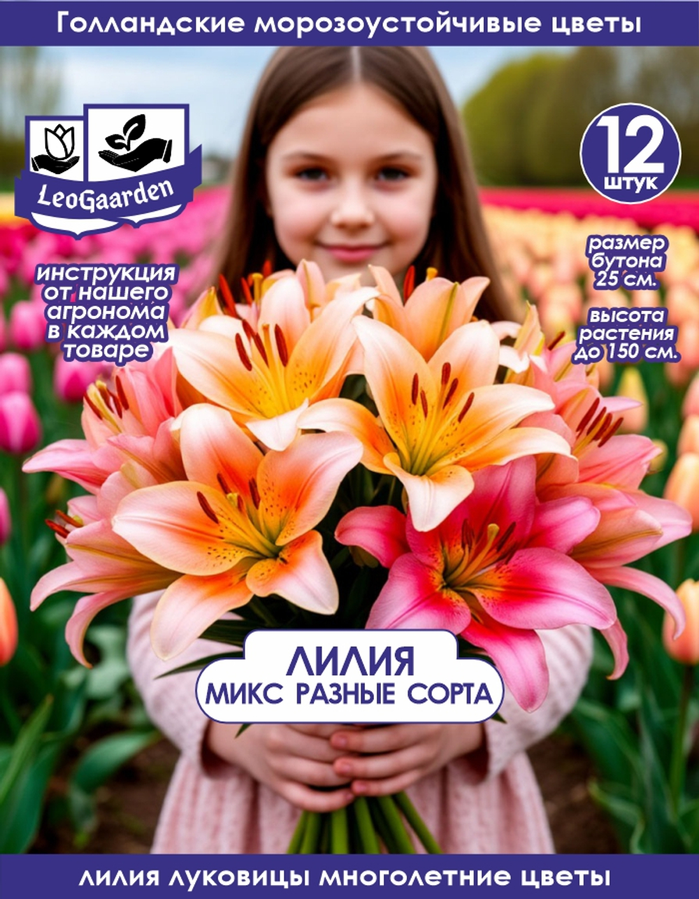 Лилия Луковица, Микс сортов 12шт
