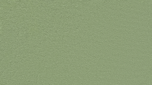 VELUTA LUX 30 мебельная ткань велюр зелёный 1,4м