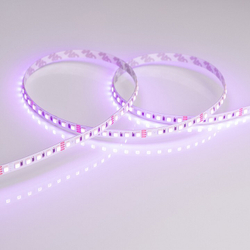 Лента светодиодная Arlight 026832(2)
