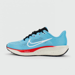 кроссовки Nike Quest 6 Blue / White