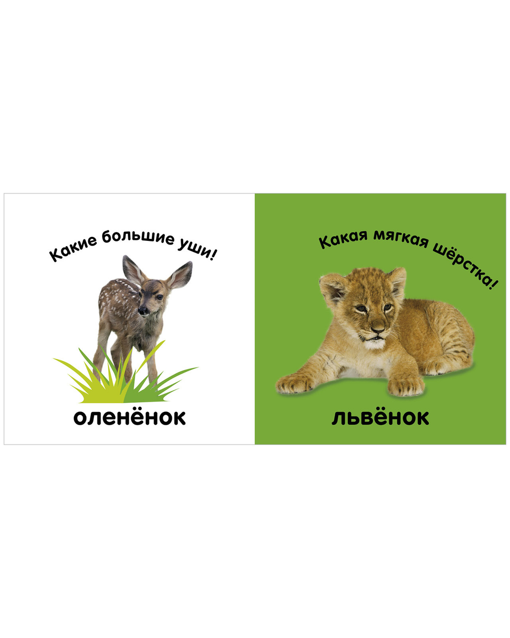 Тактильная книжка. Пушистые малыши