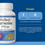 Natural Factors, WellBetX®, берберин, 60 вегетарианских капсул (500 мг в 1 капсуле)