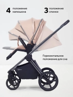 Коляска 2 в 1 Rant Falcon Soft Therm