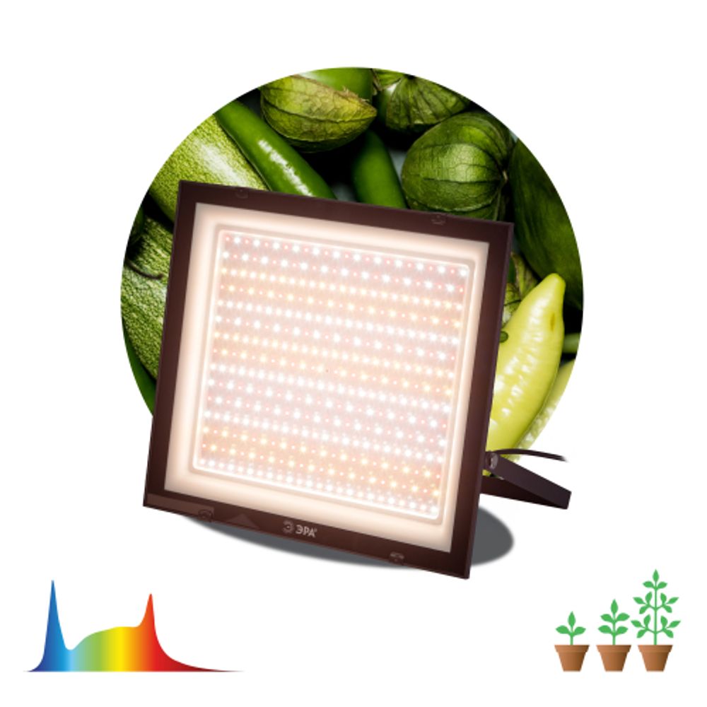 Фитопрожектор для растений светодиодный ЭРА FITO-200W-Ra90-LED полного спектра, профессиональный 200 Вт | Фито прожекторы