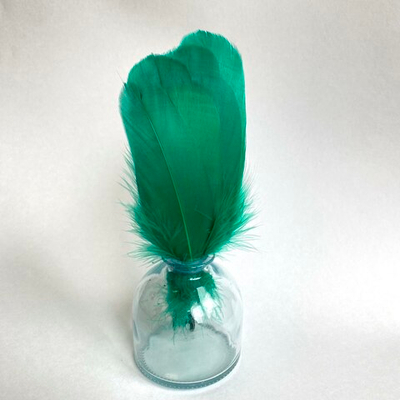 Гусиные перья нефрит скругленные 20шт.