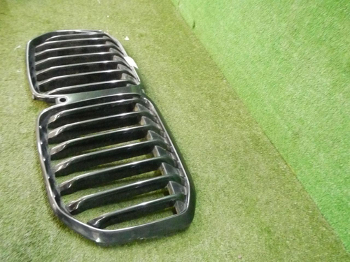 Решетка радиатора BMW X7 G07 (2019-2022)