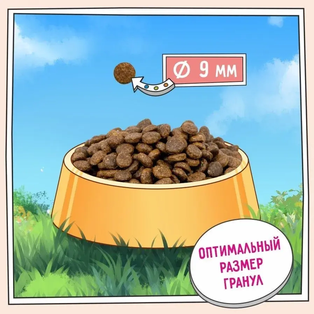 Корм для стерилизованных кошек ZILLII (Зилли) Cat Sterilized Light 10кг индейка и утка сухой для кошек с избыточным весом