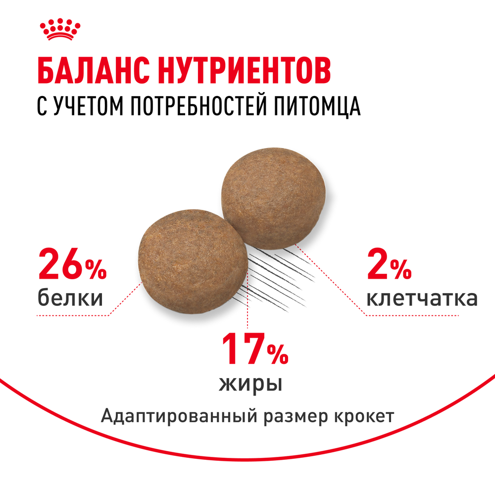 Royal Canin Maxi Adult Корм сухой для взрослых собак крупных размеров от 15 месяцев до 5 лет 3 кг