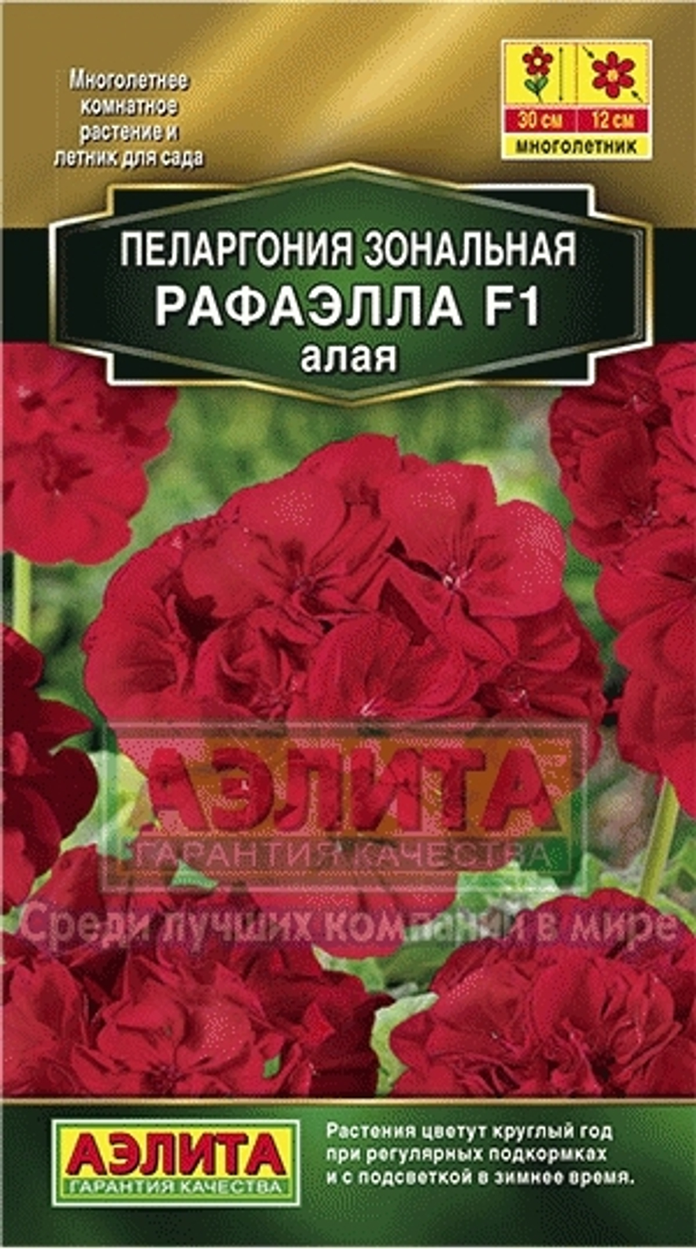 Пеларгония Рафаэлла алая F1 5шт Аэлита