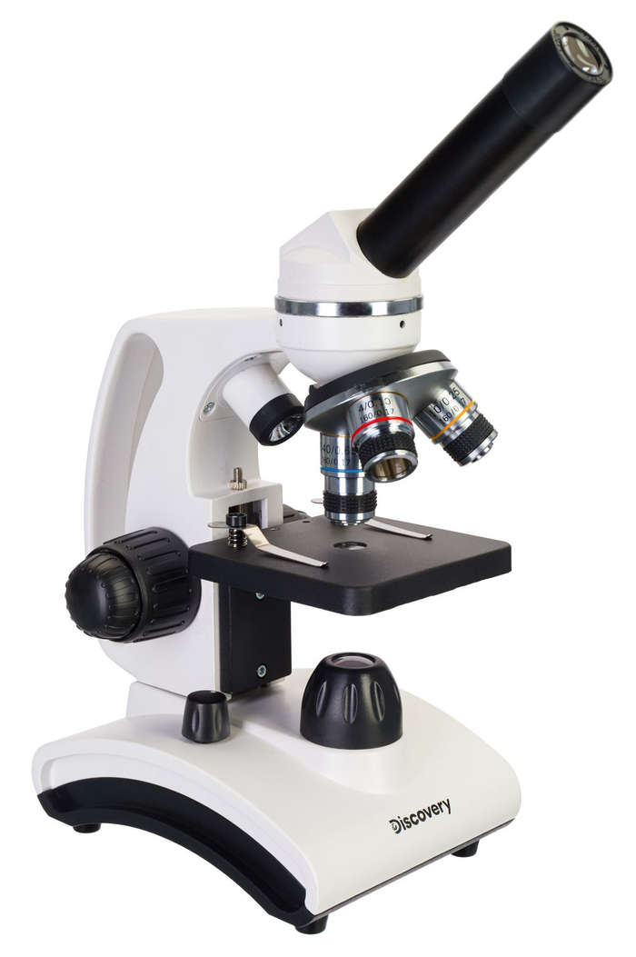 Микроскоп Levenhuk Discovery Femto Polar с книгой