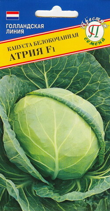 Капуста б/к Атрия Престиж