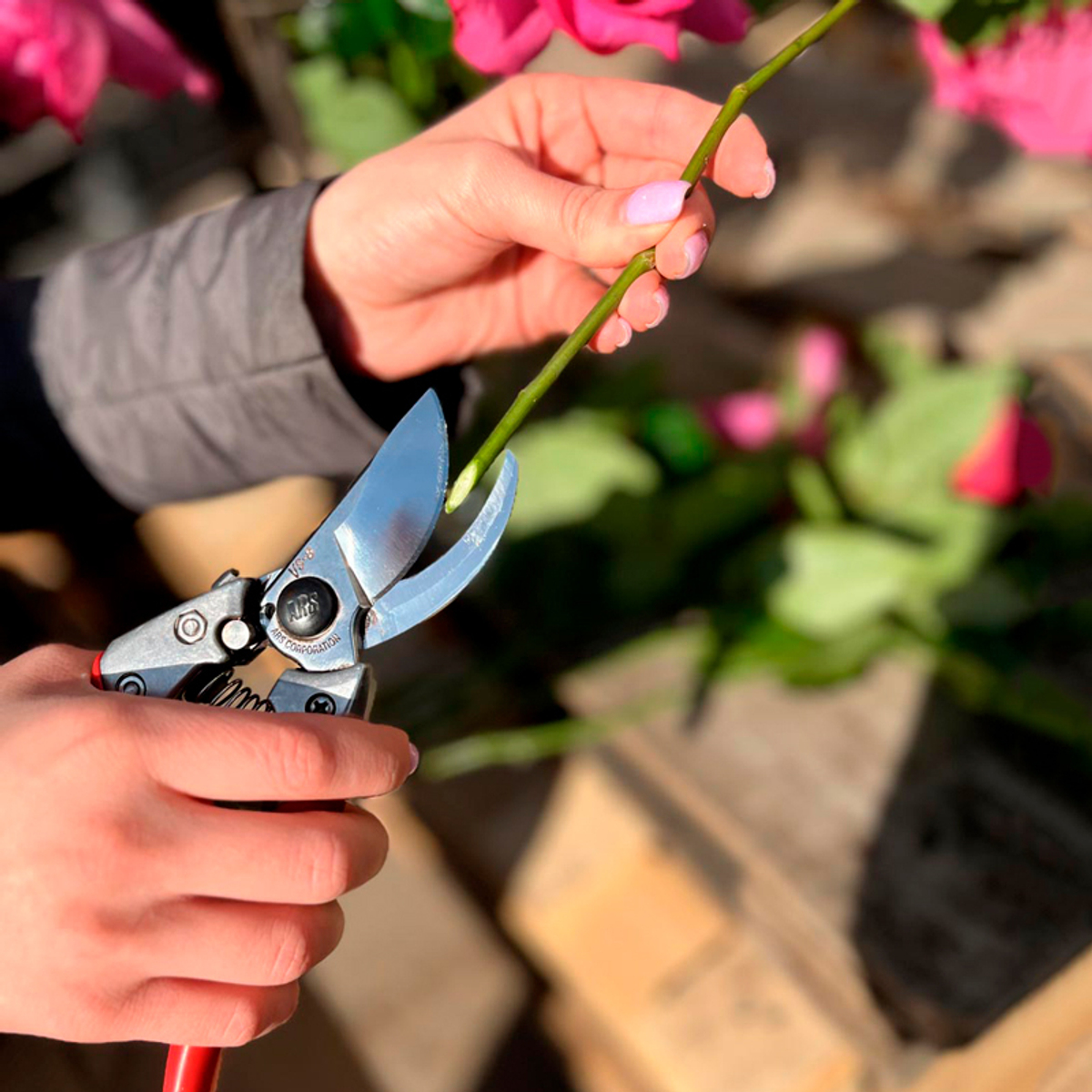 секатор ARS VS-7XZ — красный — ARS Corporation