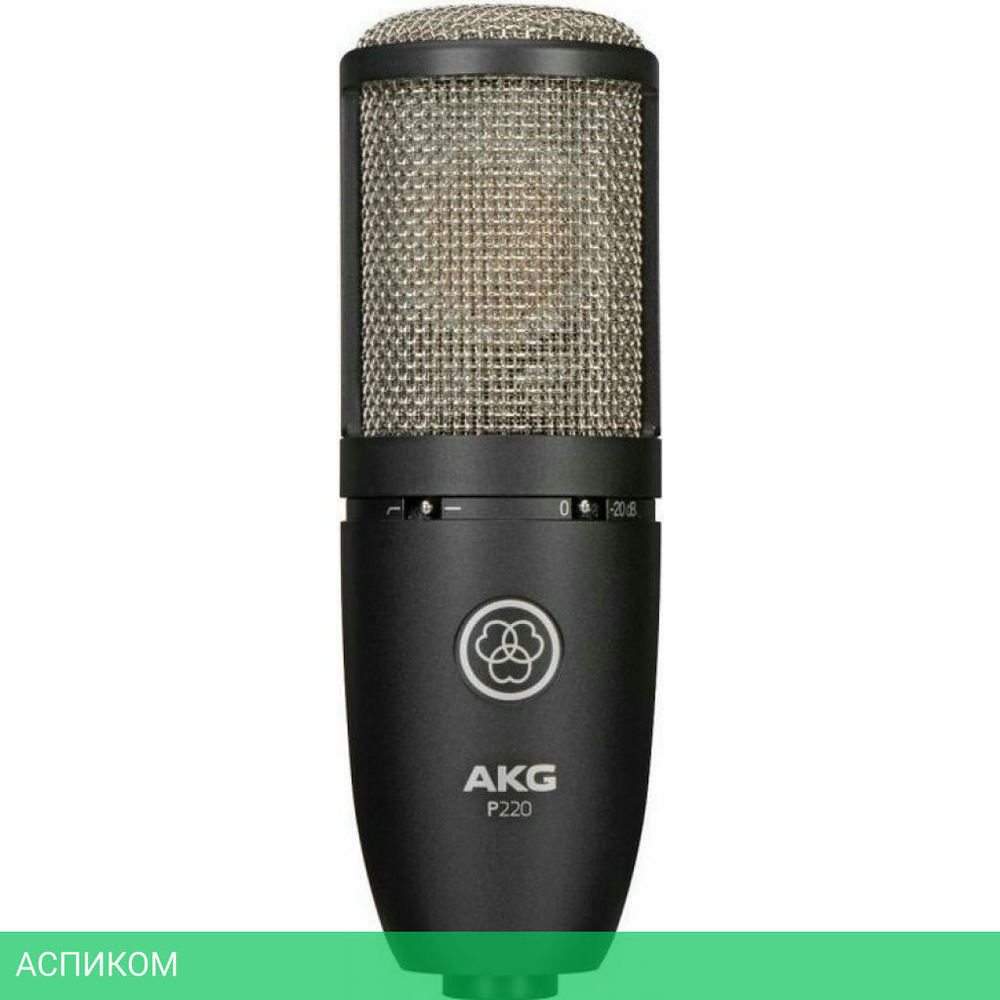 Микрофон AKG P220 (3101H00420)