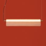 Подвесной светильник Freya FR5556PL-L22BBS