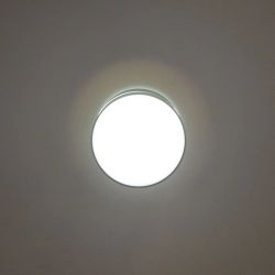 Citilux Борн CL745011N LED Светильник накладной Чёрный