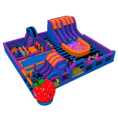 Надувной парк «Сказочный надувной мир»