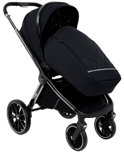 Детская коляска Pituso Mayla Lux 2 в 1 Black