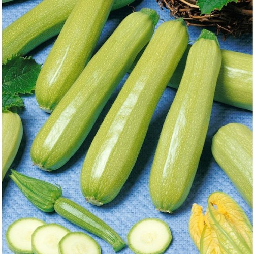 Кабачок Кавили F1