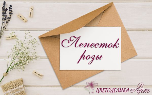 Упаковка ваших заказов